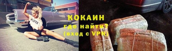 дживик Абинск
