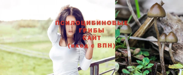 сатива Абдулино