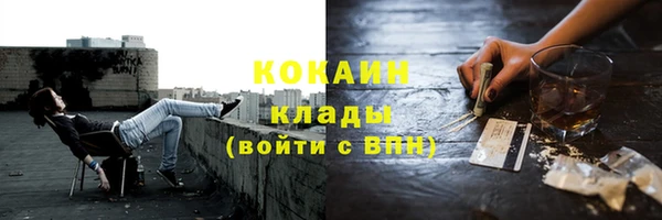 дживик Абинск