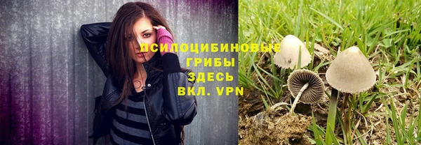 сатива Абдулино