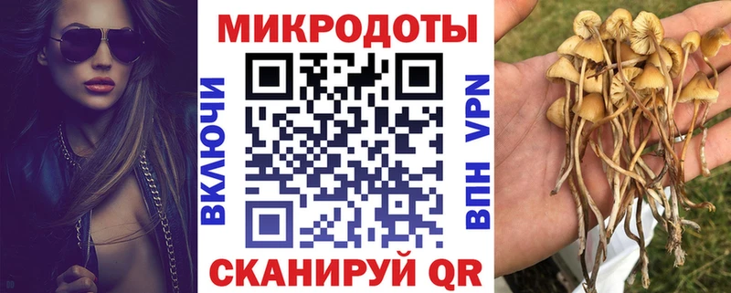 где можно купить наркотик  Соликамск  Псилоцибиновые грибы мухоморы 